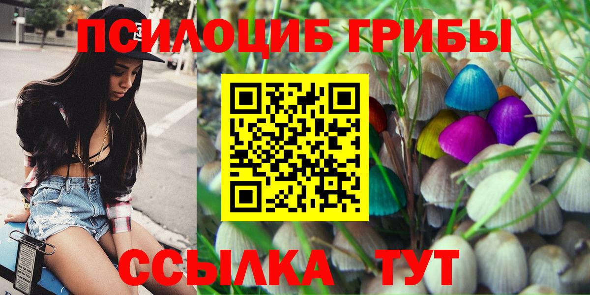 Галлюциногенные грибы Magic Shrooms  Вход с VPN  Грязи  Псилоцибиновые грибы прущие грибы 