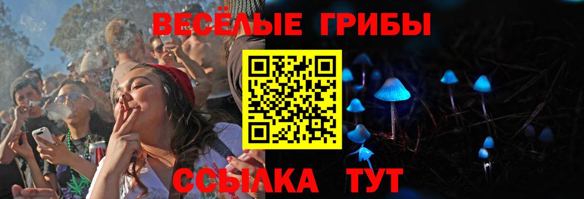 Галлюциногенные грибы Psilocybe Грязи